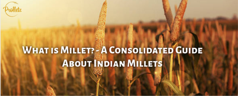 What is Millet? - A Consolidated Guide About Indian Millets